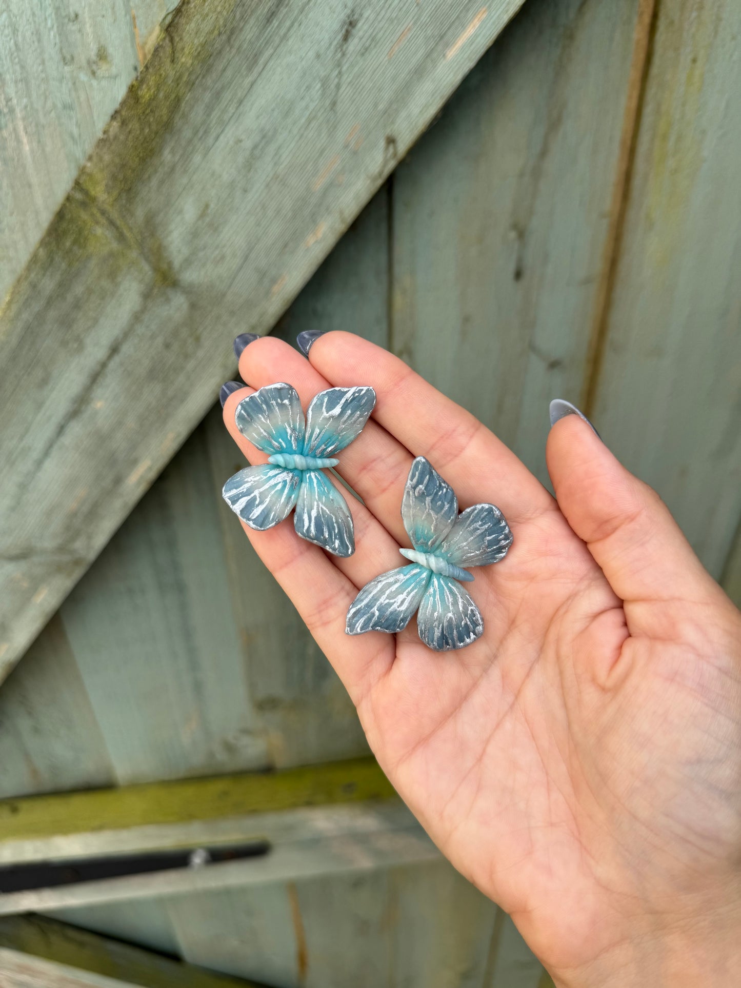 Sea Blue Butterfly