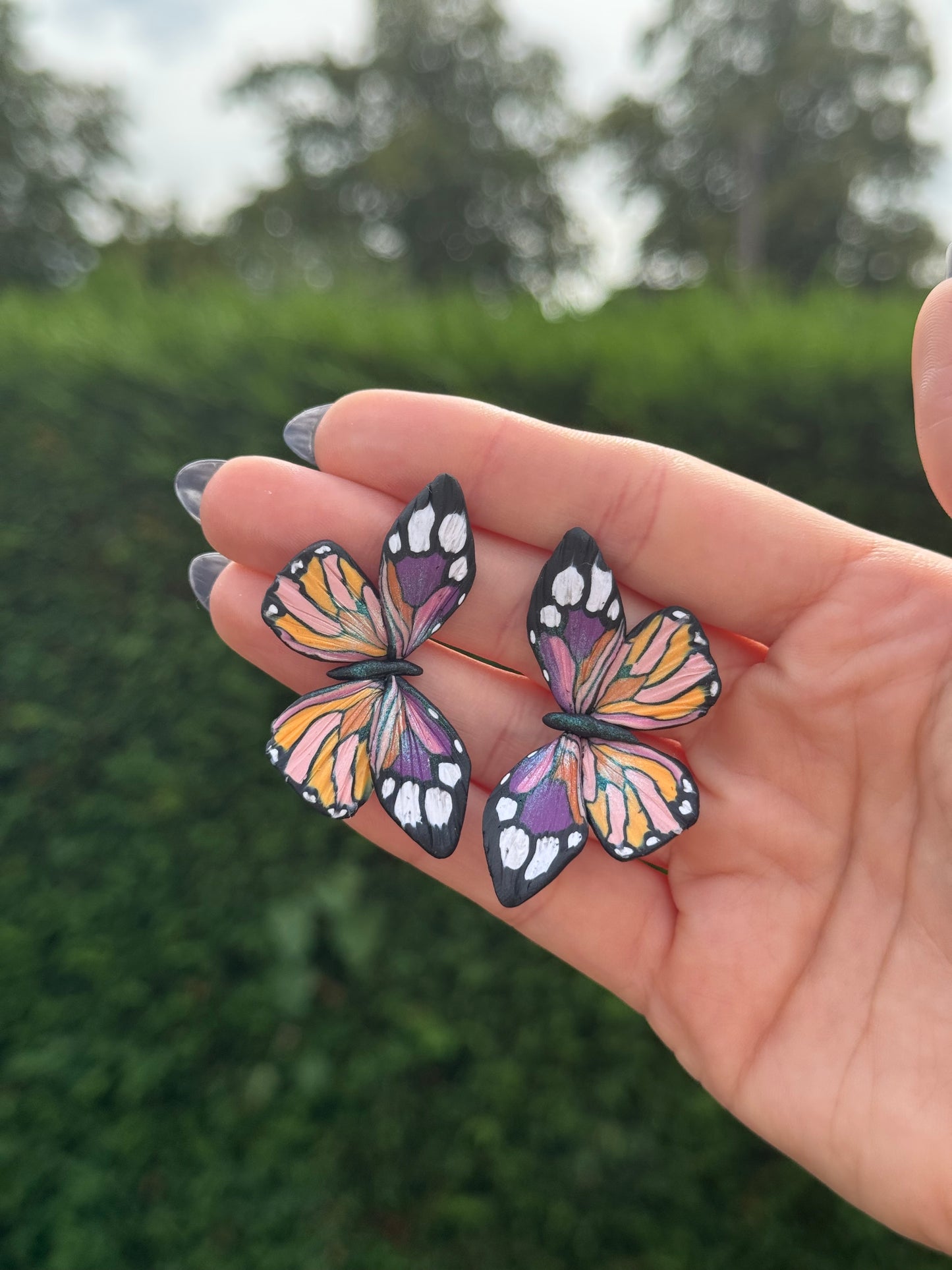 Sole Muse Butterfly
