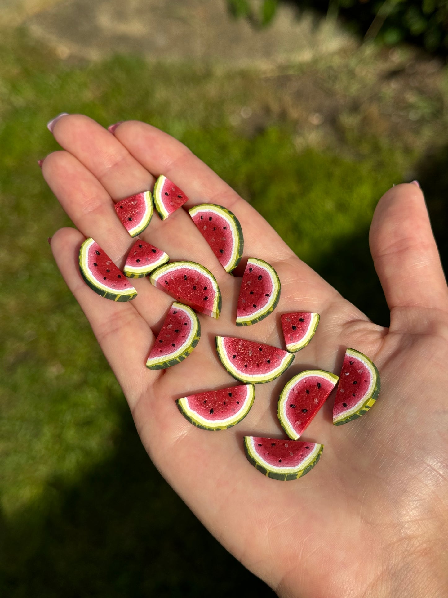 Watermelon Earrings 🍉