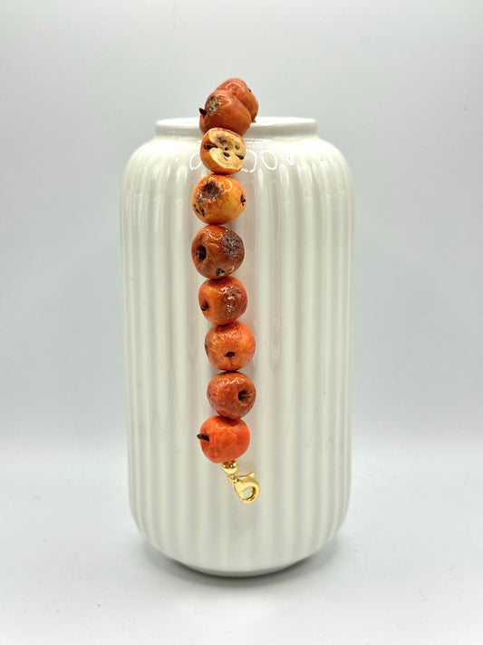 Alyssa’s Apple Lover Bracelet